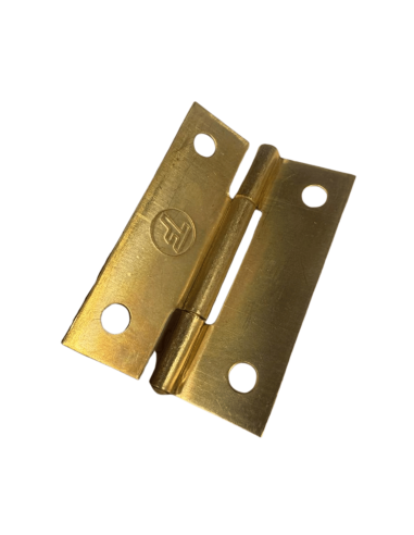 Bisagra Libro de 51 mm Yagherr Brdo. Oro