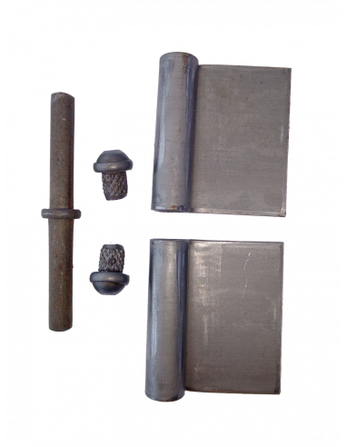 BIS. 100-33 X 2,5 REV
