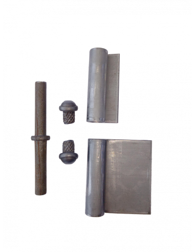 BIS. 100-33-8 X 2,5 REV